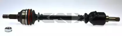 spidan-24259