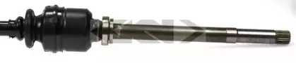 spidan-24260