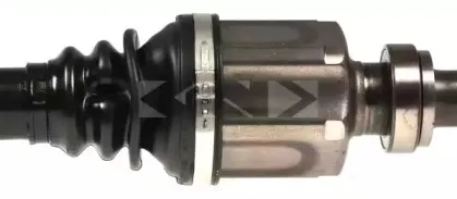 spidan-24329