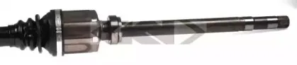 spidan-24329