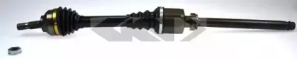 spidan-24333