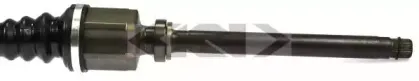 spidan-24333