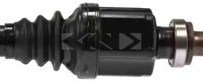 spidan-24334