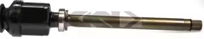 spidan-24334