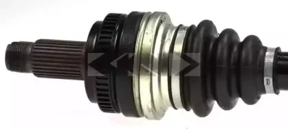 spidan-24351