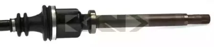 spidan-24398