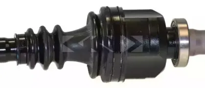 spidan-24441
