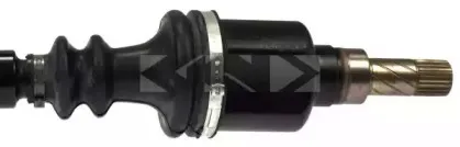 spidan-24453