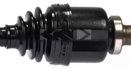 spidan-24508