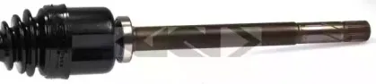 spidan-24508
