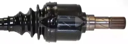 spidan-24509