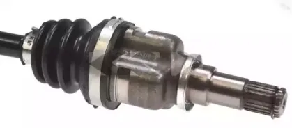 spidan-24511