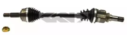 spidan-24513