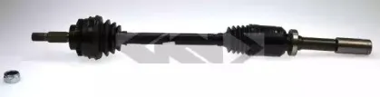 spidan-24525
