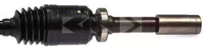 spidan-24525