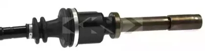 spidan-24582