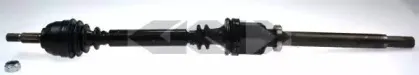 spidan-24583