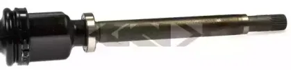 spidan-24583