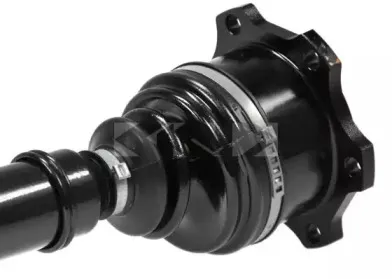 spidan-24588