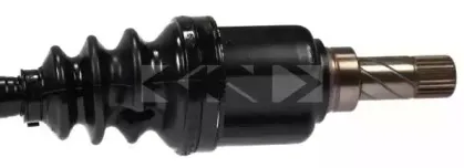 spidan-24589