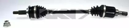 spidan-24595