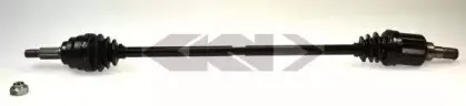 spidan-24596