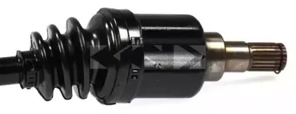 spidan-24596