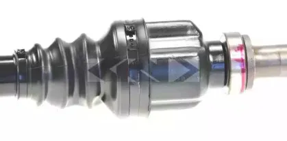 spidan-24673
