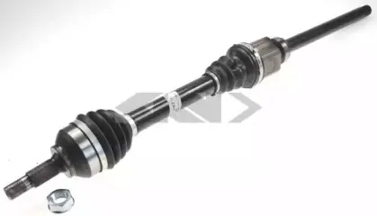 spidan-24719