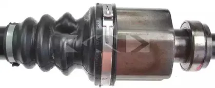 spidan-24719