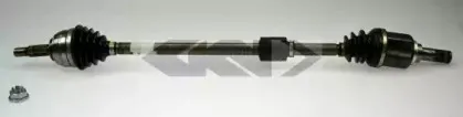 spidan-24724