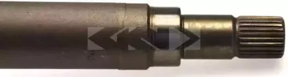 spidan-24766