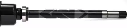 spidan-24768