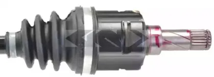 spidan-24779