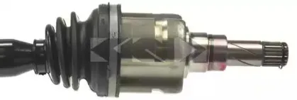 spidan-24784