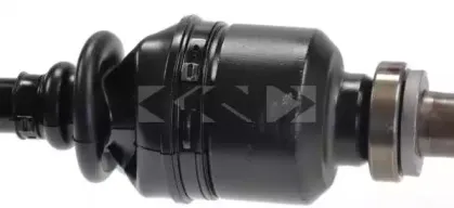 spidan-24839