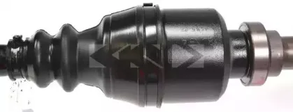 spidan-24844