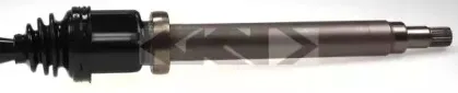 spidan-24845