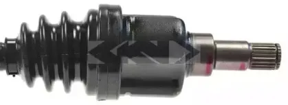 spidan-24846