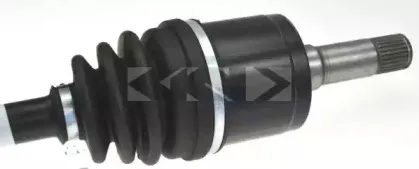 spidan-24848