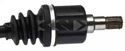 spidan-24850