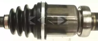 spidan-24853