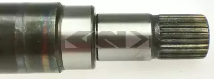 spidan-24853