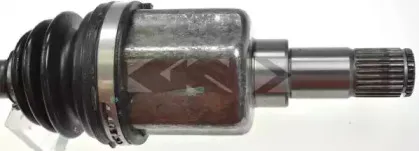 spidan-24857
