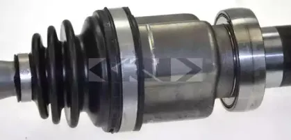 spidan-24868