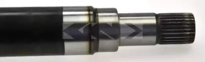 spidan-24868