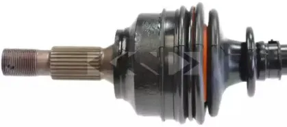 spidan-24871