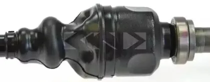 spidan-24871
