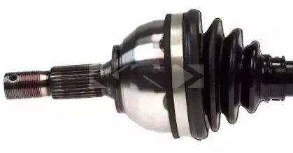 spidan-24872