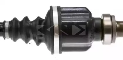 spidan-24873